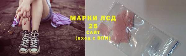 прущие грибы Осташков