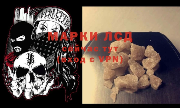 прущие грибы Осташков