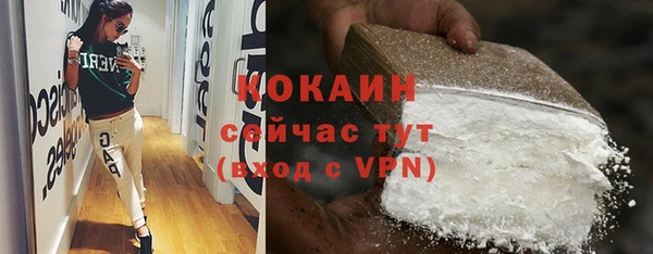 прущие грибы Осташков